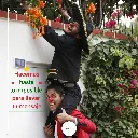 mensajeros-rosaclaun-emocionarteclown-animacion-eventos-shows-sorpresas-serenatas.webp